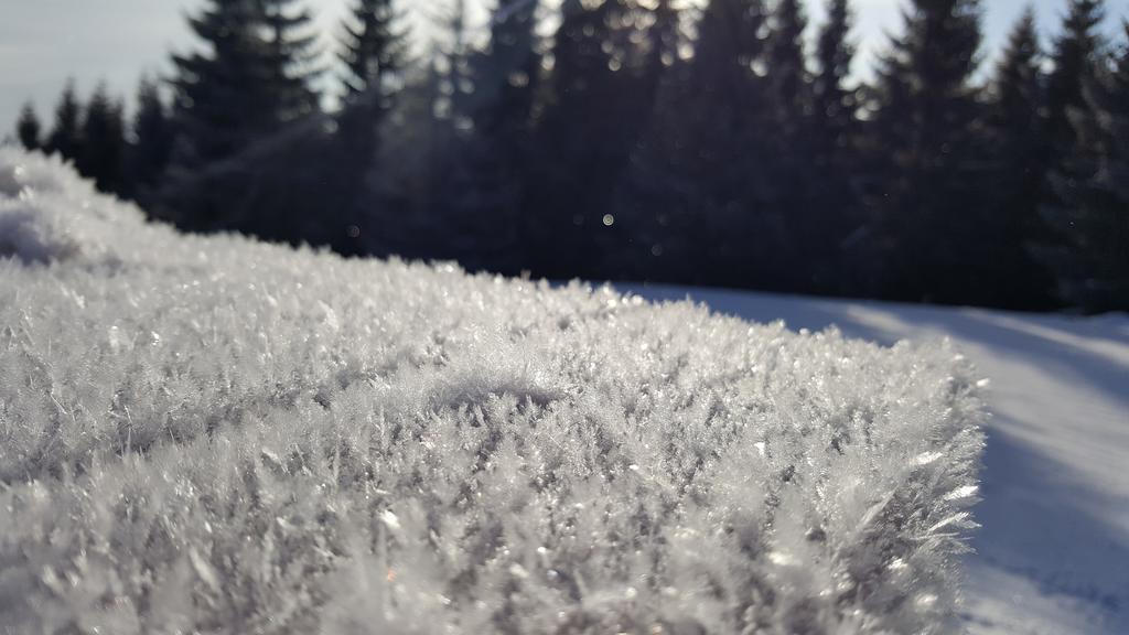 Chata Alpina Ruzomberok Buitenkant foto